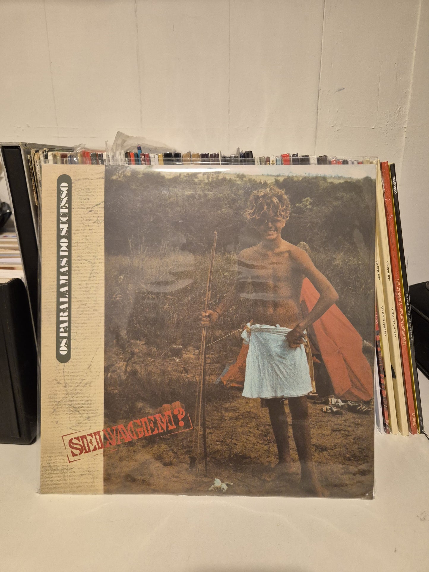 Os Paralamas do Sucesso - Selvagem?