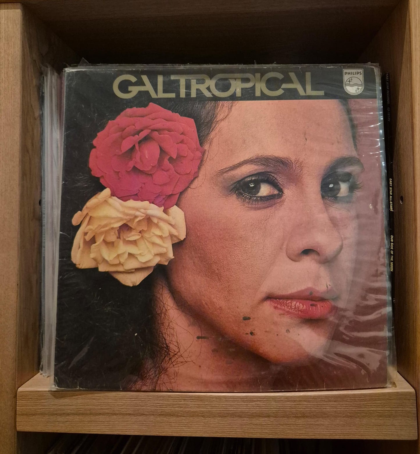 Gal Costa - Tropical (original pressing)