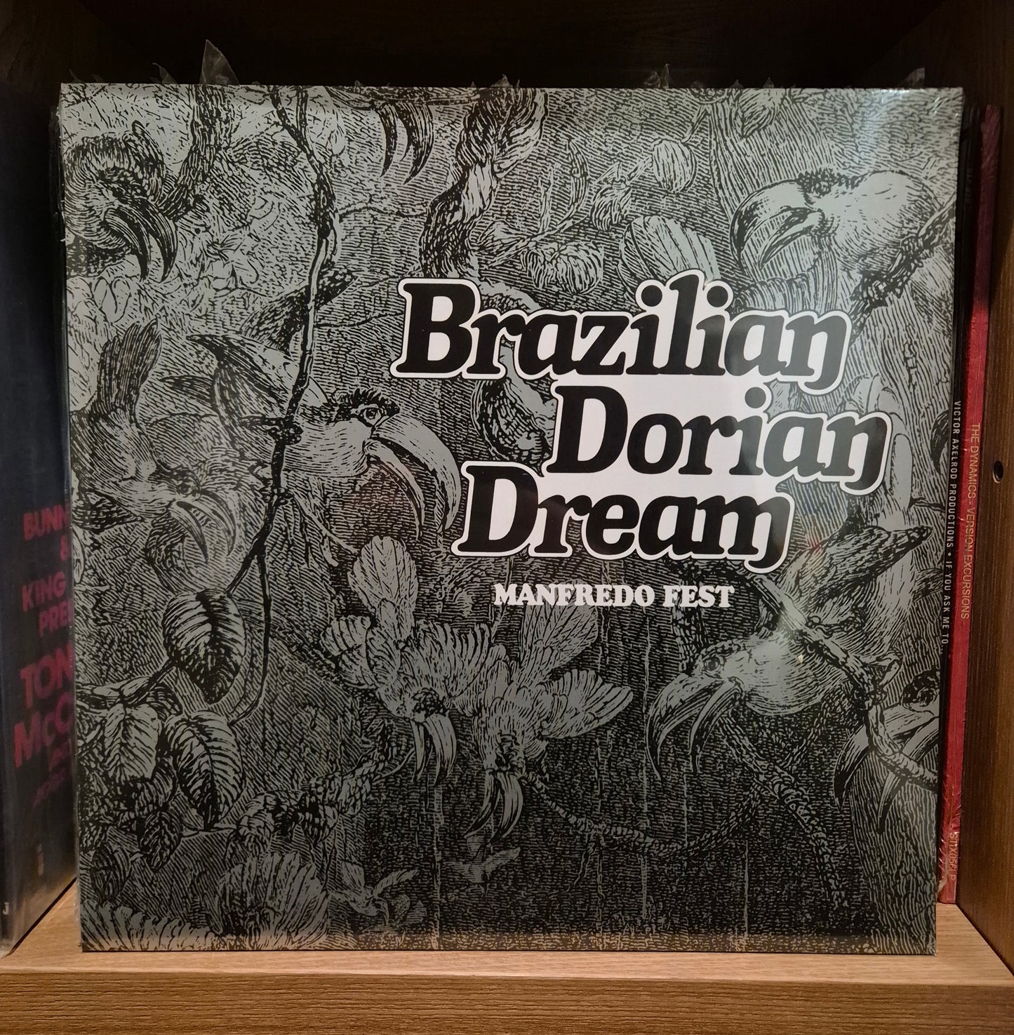 Manfredo Fest - Brazilian Dorian Dream
