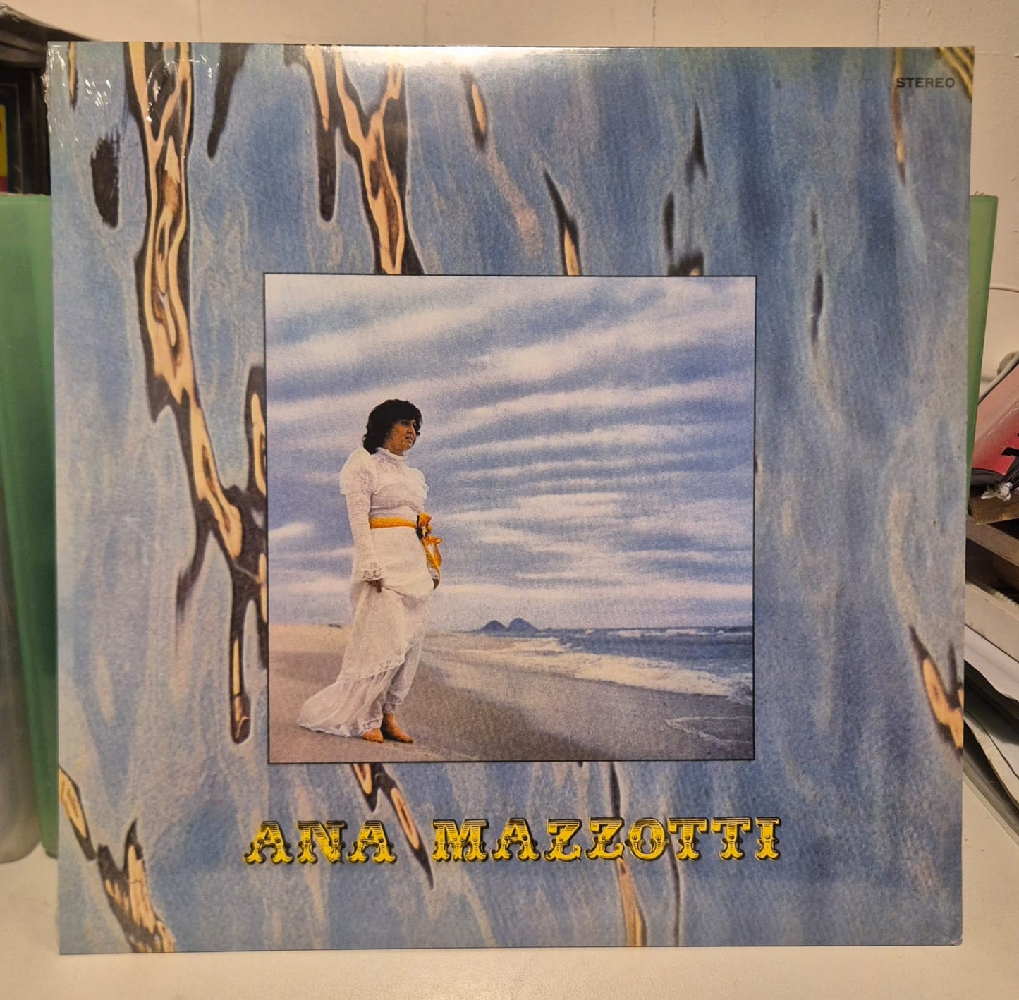 Ana Mazzotti - Ninguem Vai Me Segurar